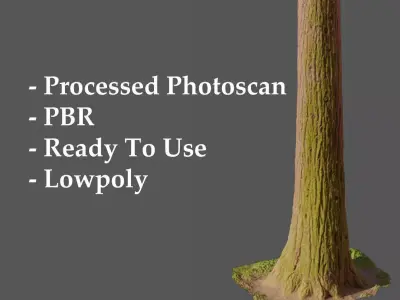 Redwood Pine Conifer Trunk 3D PhotoScan Realistic  Free low-poly 3D model
