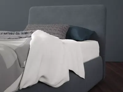 Tonight Single 3D model