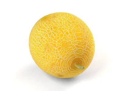 Yellow Japanese Melon - Photorealistic  Scan Low-poly 3D model