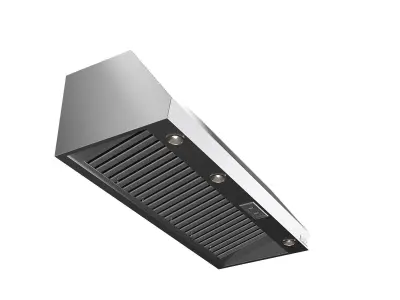 Wolf Wall Mount Canopy Range Hood PW602418 3D model