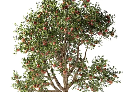 Apple tree Low-poly 3D model
