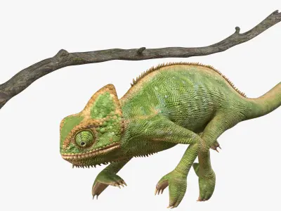  Walking Chamelion Animated Rigged for Blender 