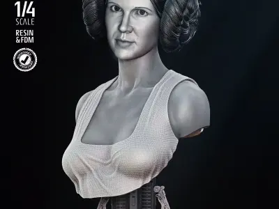 STAR WARS Leia New Hope Portrait Bust 3D print model