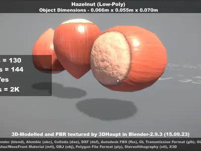 Hazelnut Low-poly 3D model