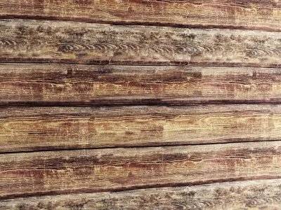 Wooden Plank Collection 2 3D model