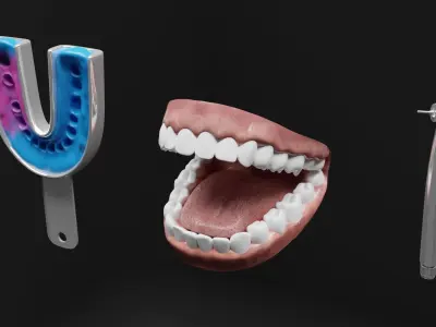 Teeth Impression Gums and Tool 3D model