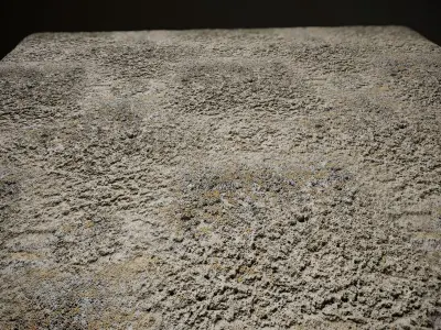 Mossy Concrete Seamless PBR Texture Texture
