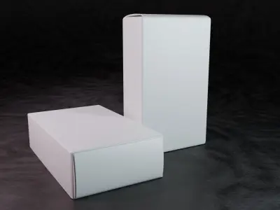  Free Modern Product Box Mock-Up Design Free 3D model