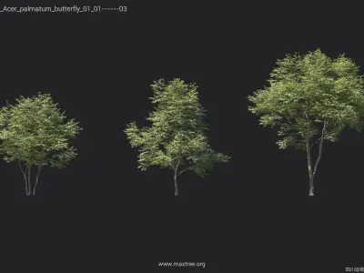 Maxtree Plant Models Vol 23 Low - Mesh 3D model