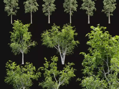 Trees collection vol 250 3D Model Pack