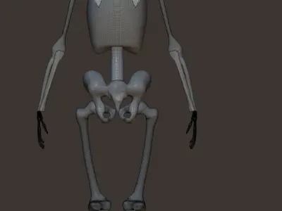 Skeleton Free low-poly 3D model