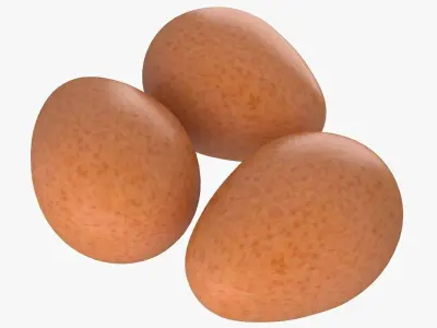 Eggs Brown 3D model