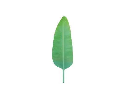 Big Leaf Low-poly 3D model