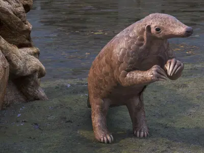  African Mammals Rigged for Maya Collection 