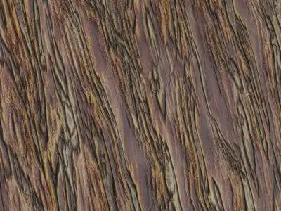 Weathered Exotic Bark Texture