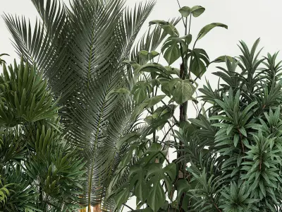 Plants For The Street And Interior In Concrete Pot 1210 3D model