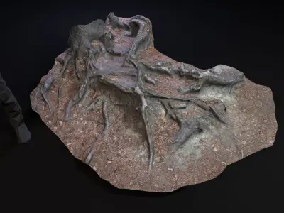 Beech forest ground - 3 of 6 - scan PBR Game ready Free low-poly 3D model