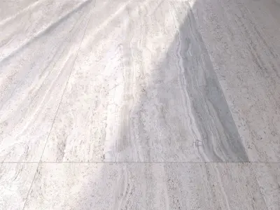 Floor Navona Bone Vein 60x120 Texture
