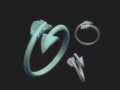 karma ring 3D print model