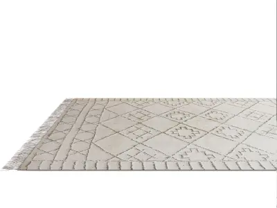 Home Republic Iowa Forest and Natural Rug 3D model