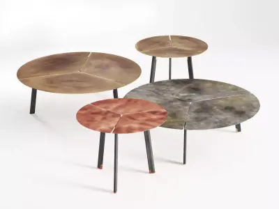 Placas coffee table with two legs and circular top 3D model