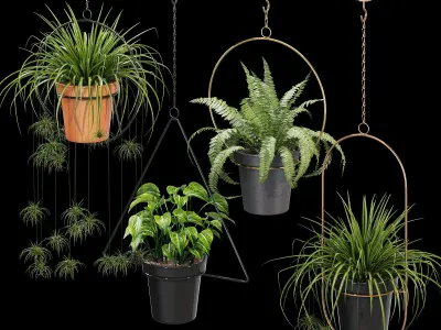 Geometric Plant Flower 3D model