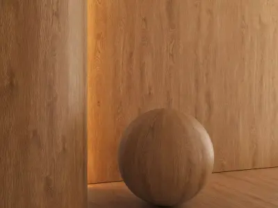 Oak wood material 09 Texture