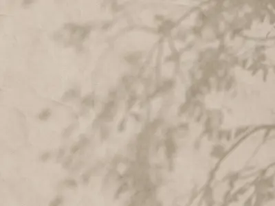  Plaster 09 - Seamless Texture