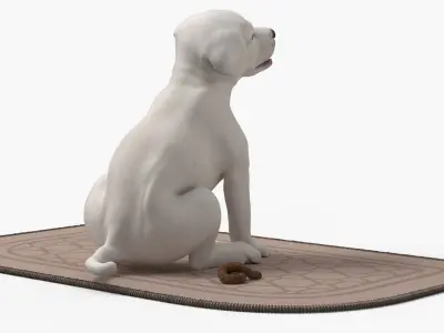  Labrador Retriever Puppy Pooped on the Mat 