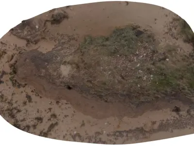 Beach Mud Mound - High and Low Poly versions Low-poly 3D model