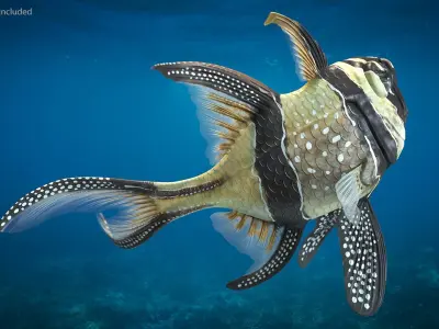  Coral Fish Collection 4 Rigged for Cinema 4D 