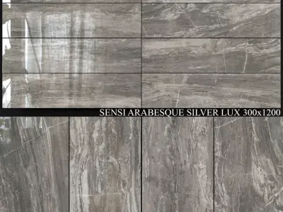 ABK Sensi Arabesque Silver Lux 300x1200 3D model