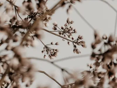 plants bouquet vase 41 3D model