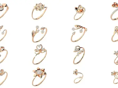 60 light wt rings  3D Model Pack