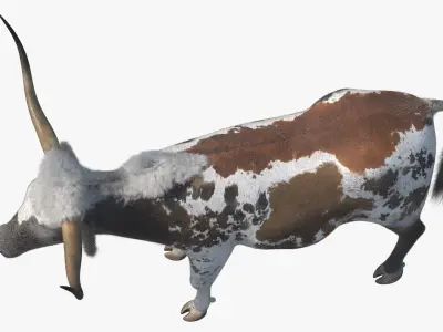  Farm Animals Big Collection 5 