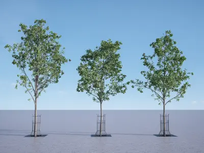 Animated trees for architectural visualization 3D model