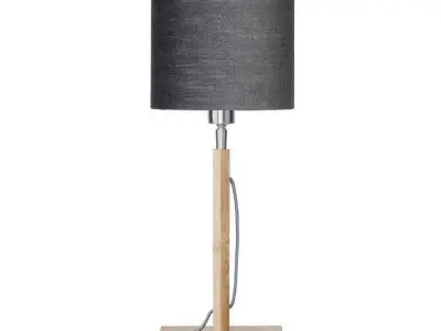 Zarrukh Table Light Lamp Free 3D model