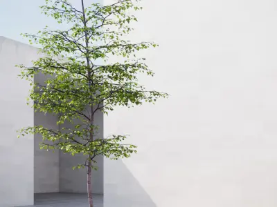 Small spring tree vpt024 3D model