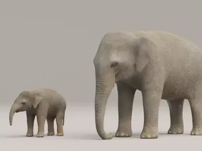 Rigged Adult Elephant And Baby Elephant Low-poly 3D model