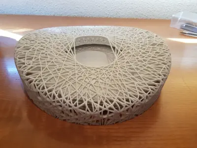 Beijing national stadium Premium edition  3D print model