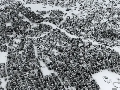 Sao Paulo Streets and Buildings 3D model