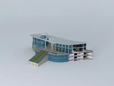 Wuhan marshland 3D model
