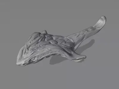 Space Manta 3D print model