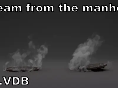 Steam from the manhole vdb 3D model
