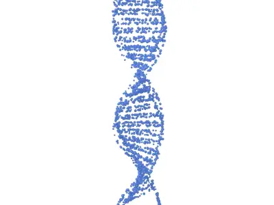 DNA Molecule v4 001 3D model