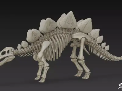 Stegosaurus fossil Low-poly 3D model