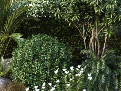 Group of outdoor Trees- Plants 3D model