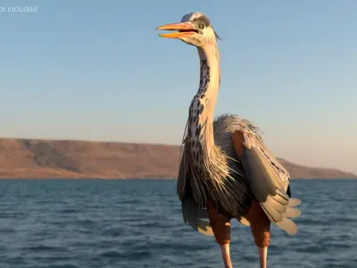  Blue Heron Bird For Blender 