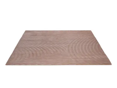 Sono Salmon 3D model