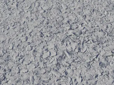 Realistic Dry Leaves Forest Ground Texture